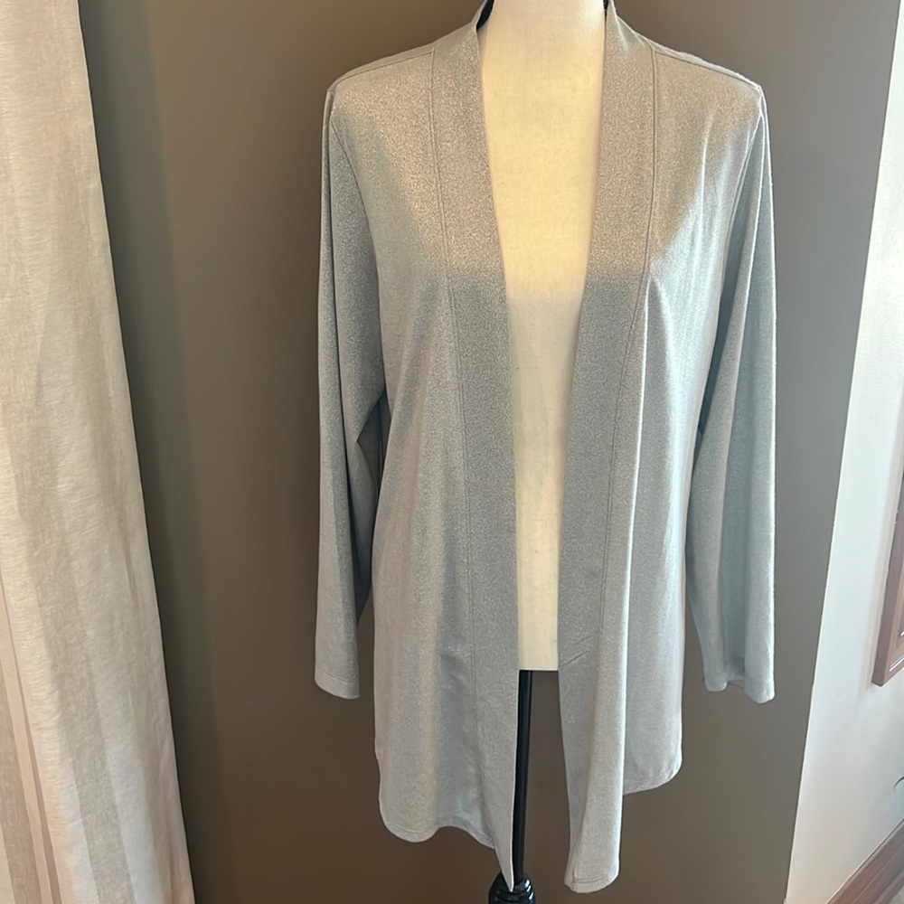 Silver Chicos cover up